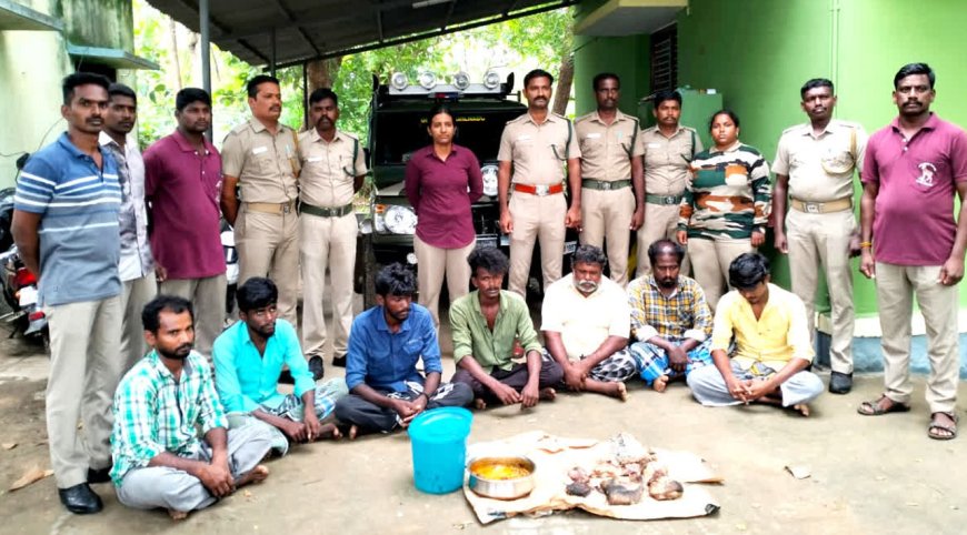 தென்காசி: தொடரும் காட்டுப் பன்றி வேட்டை