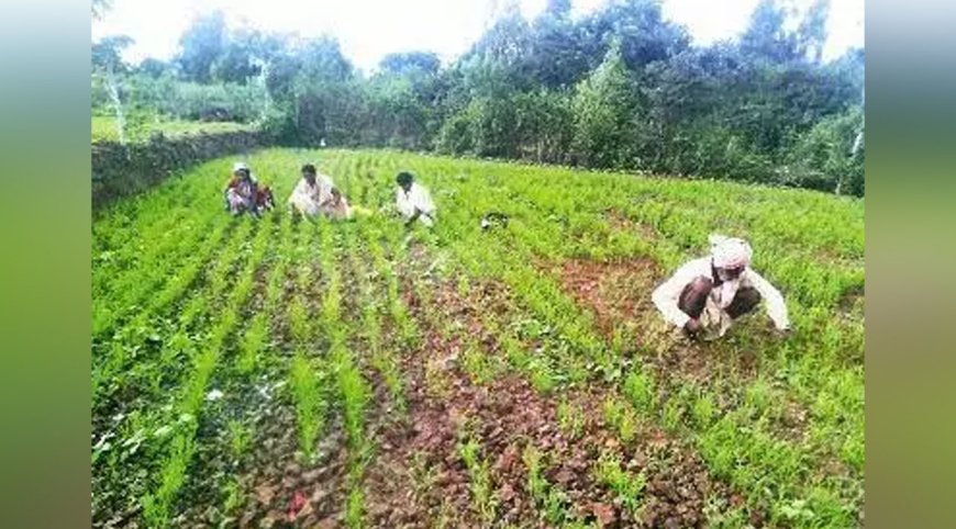 ‘எங்கள் துன்பத்தை கேட்பாரில்லை’ - கோவை விவசாயிகள் ஆதங்கம்