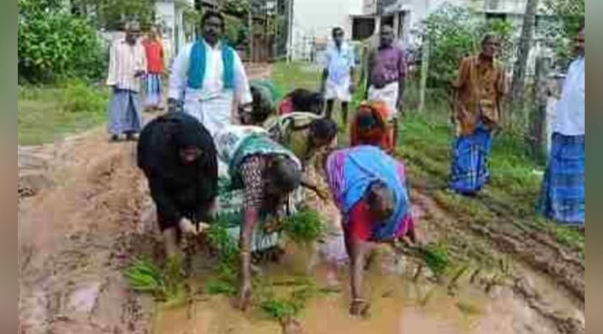 சேறும், சகதியுமான மண் சாலையில் நாற்று நட்டு  போராட்டம்