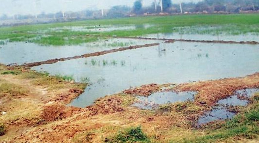 கோவை: கோழிக்கே தண்ணீரை காசு கொடுத்து வாங்கும் விவசாயிகள்