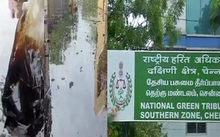 எண்ணெய் கசிவுக்கு சிபிசிஎல் நிறுவனமே  காரணம் -மாசுக்கட்டுப்பாட்டு வாரியம் தகவல்