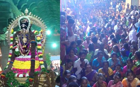 நெல்லை தாமிரசபையில் நடராஜர் ஆருத்ரா தரிசனம் -ஆயிரக்கணக்கான பக்தர்கள் தாிசனம் 