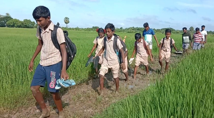 சாலை  இல்லாததால் அரசு பள்ளி மாணவர்கள் சேற்றில் நடக்கும் அவலம்