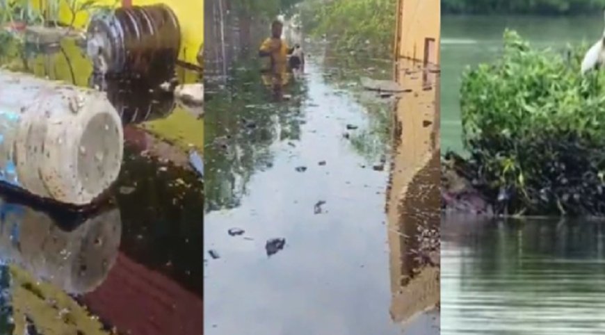 கச்சா எண்ணெய் கழிவுகளை அகற்ற நடவடிக்கை எடுக்கப்படும் -பசுமை தீர்ப்பாயத்தில் தகவல்