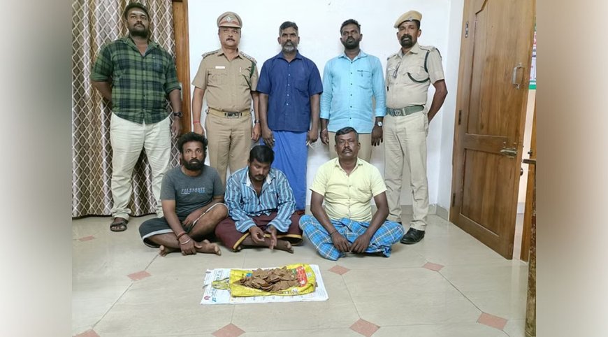 எறும்பு தின்னி செதில்களைத்  தின்றால் ஆண்மை விருத்தி? 