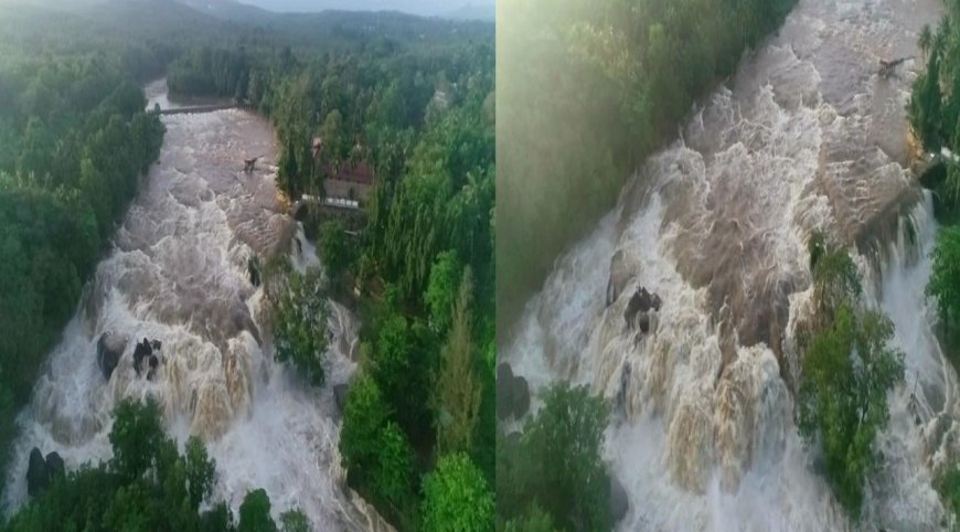 குமரியில் கன மழை - திற்பரப்பு அருவியில் காட்டாற்று வெள்ளம்