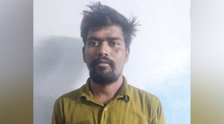 தஞ்சை நாகநாதர் கோவில் சிலைகளை கொள்ளையடிக்க முயன்ற வாலிபர் கைது