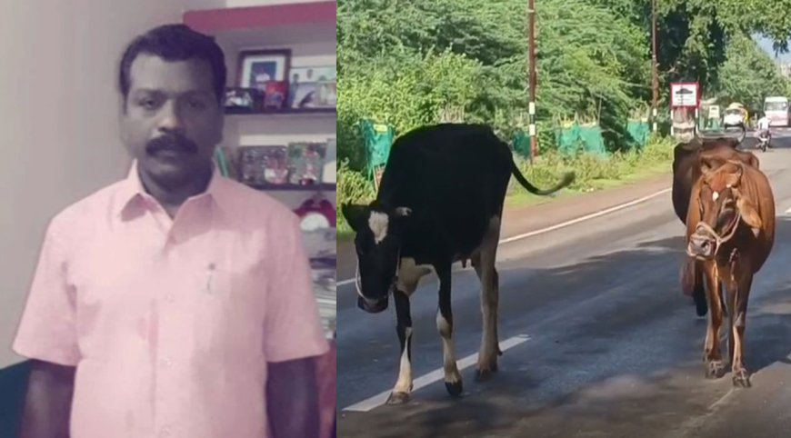 சாலையில் திரிந்த மாட்டின் மீது மோதி  உயிரிழந்த எஸ். எஸ். ஐ!