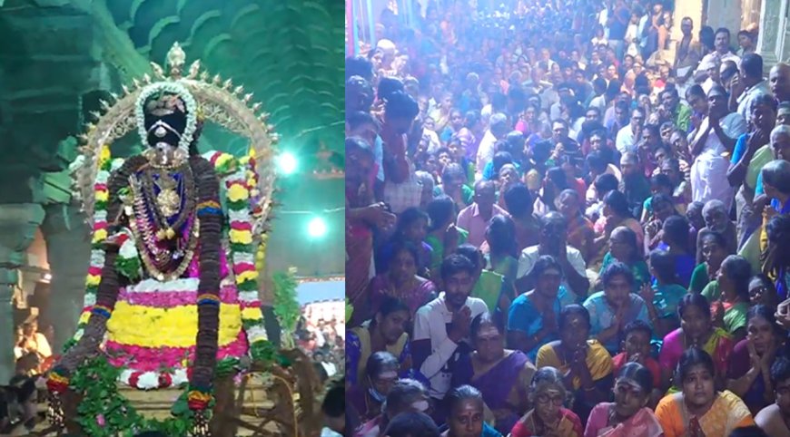 நெல்லை தாமிரசபையில் நடராஜர் ஆருத்ரா தரிசனம் -ஆயிரக்கணக்கான பக்தர்கள் தாிசனம் 