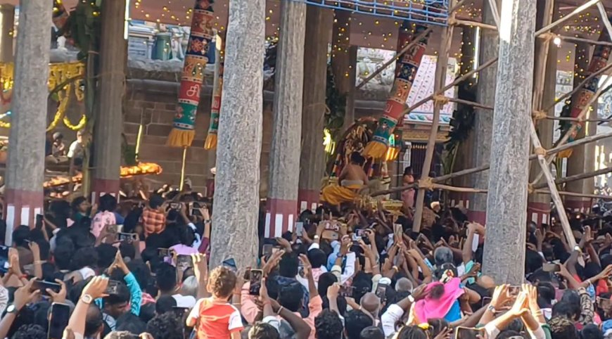 சிதம்பரம் நடராஜர் கோவிலில்  ஆருத்ரா தரிசனம் கோலாகலம்