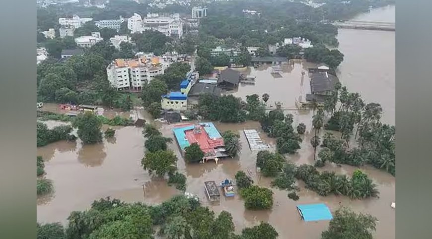 நெல்லை மாவட்ட வெள்ளச் சேதம் எவ்வளவு?-கலெக்டர் விளக்கம்