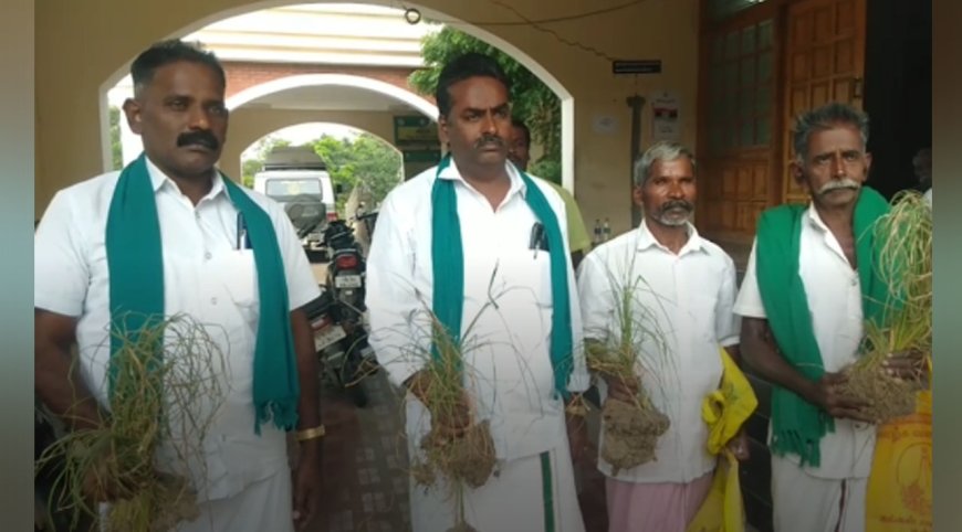 சம்பா சாகுபடிக்கு தண்ணீர் திறக்க கோரி குறைதீர்க்கும் நாள் கூட்டத்தில் விவசாயிகள் வெளிநடப்பு