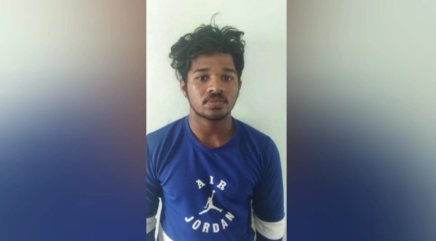 குமரி அருகே மூதாட்டியை வழி மறித்து தங்க சங்கிலி பறிப்பு
