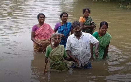 சிதம்பரம் : கொட்டி தீர்த்த கனமழையால் இடுப்பளவு தேங்கி நிற்கும் மழைநீர்