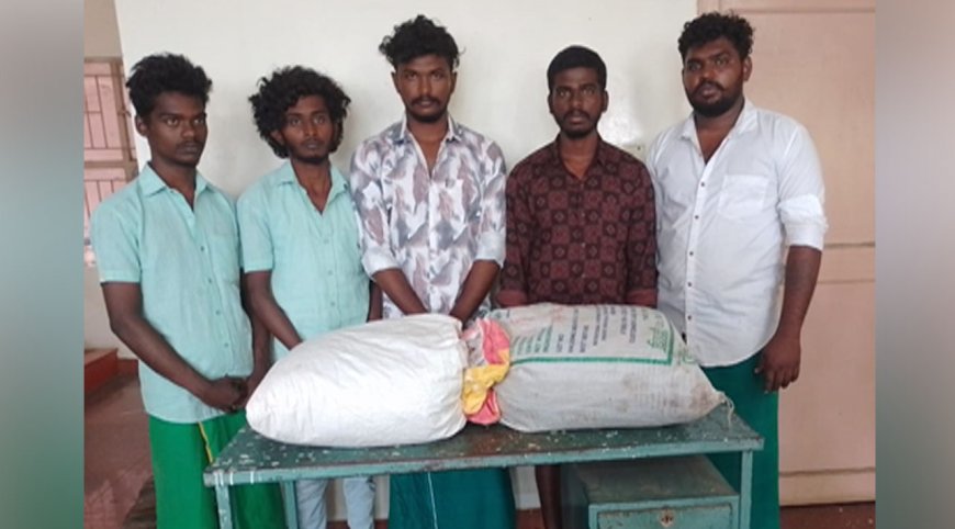 நெல்லையில் 25 கிலோ கஞ்சா கடத்தல் - 5 பேர் கைது