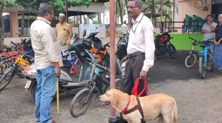 குளச்சல் அருகே பள்ளிவாசலுக்கு வெடிகுண்டு மிரட்டல்-நிபுணர்கள் சோதனை 