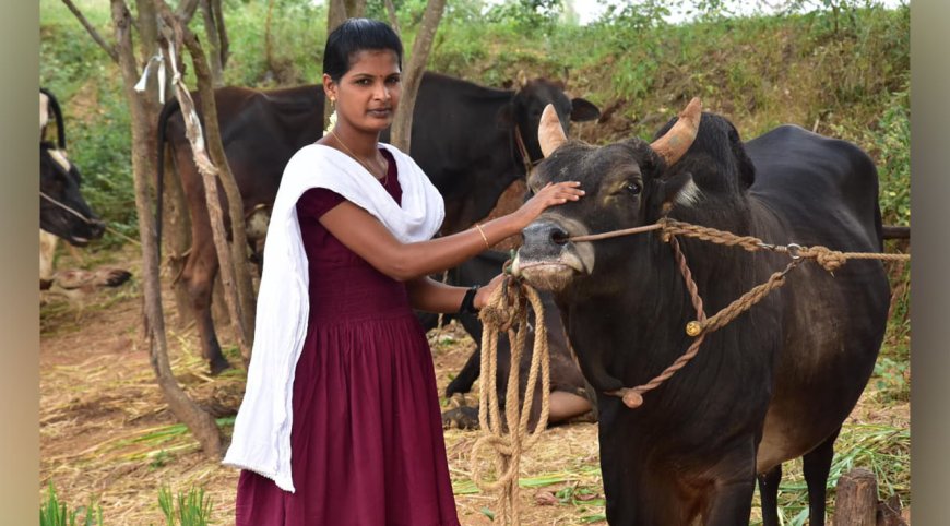 ஜல்லிக்கட்டில் பரிசுகள் பெற காளைகளை வளர்க்கவில்லை- திண்டுக்கல் இளம்பெண் பேட்டி