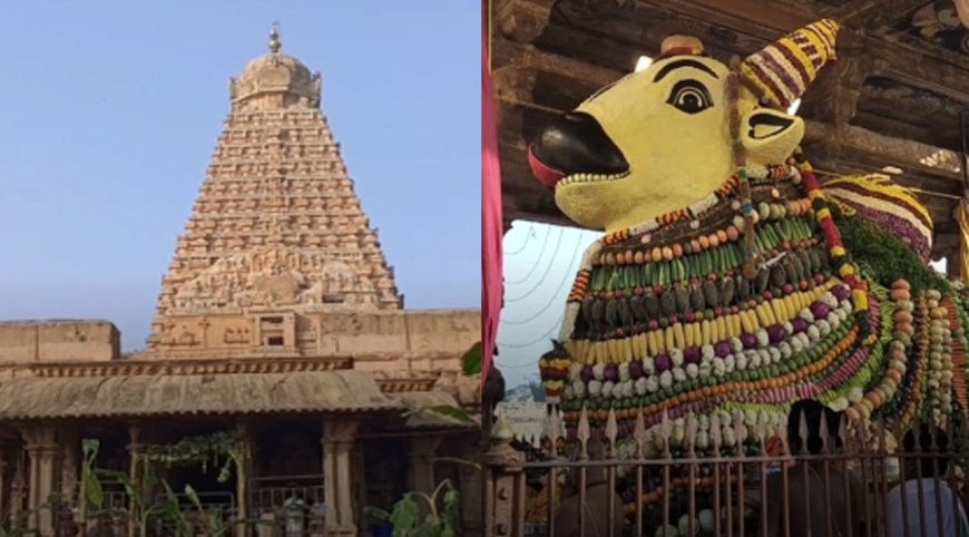 தஞ்சை: நந்தியம்பெருமானுக்கு 3 டன் எடையில் காய்கறிகள், பழங்களைக்கொண்டு அலங்காரம்