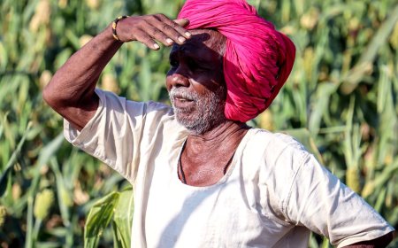 கால் வயிற்றை மட்டும் நிரப்பிய பட்ஜெட்.. தமிழக விவசாயிகள் சங்கம் ஆவேசம்...