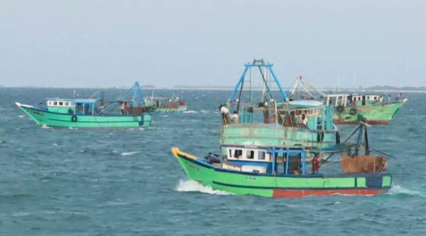 தமிழக மீனவர்கள் 19 பேர் கைது - இலங்கை கடற்படை நடவடிக்கை