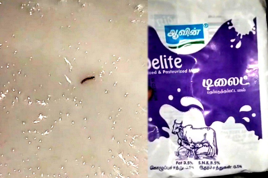 'டிலைட்' பால் பாக்கெட்டில் இருந்தது புழு இல்லையாம்!.. விளக்கம் அளித்த ஆவின் நிர்வாகம்..