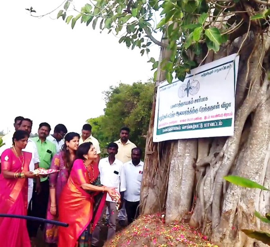 மறுபிறவி எடுத்த ஆலமரம்.. கேக்வெட்டி பிறந்தநாள் கொண்டாடிய மக்கள்...