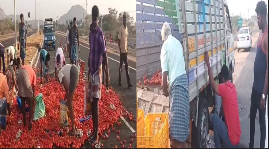 வண்டி டயர் வெடிச்சா என்ன? "தக்காளிய எடுங்கல"... மூட்டை மூட்டையாய் அள்ளி சென்ற மக்கள்...