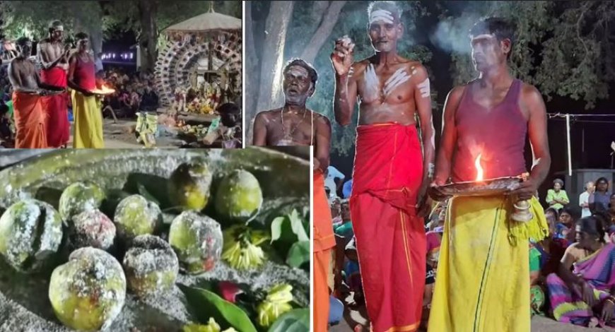 9 எலுமிச்சை பழங்கள் ரூ.2.36 லட்சம்..!    அப்படி என்ன ஸ்பெஷல்..?