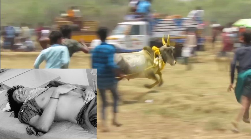 அனுமதியின்றி மஞ்சுவிரட்டுப் போட்டி - காளை முட்டி இளைஞர் பலி