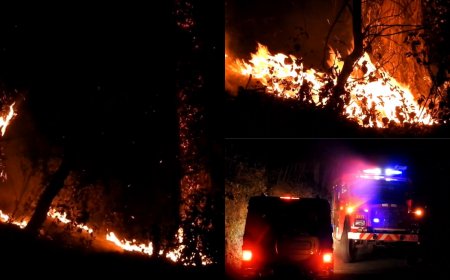 கொடைக்கானலில் கொழுந்துவிட்டு எரியும் காட்டுத்தீ.. புகை மண்டலமாக மாறிய பூம்பாறை மலைக்கிராமம்