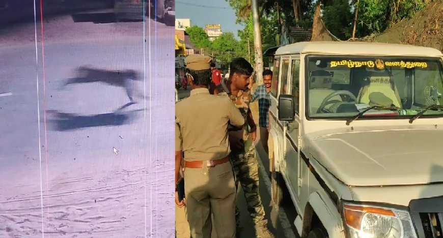 நள்ளிரவில் உலாவரும் உருவம்... கேமராவில் சிக்கிய அதிர்ச்சி காட்சி.... வீட்டைவிட்டு வெளியேவர மக்கள் அச்சம்