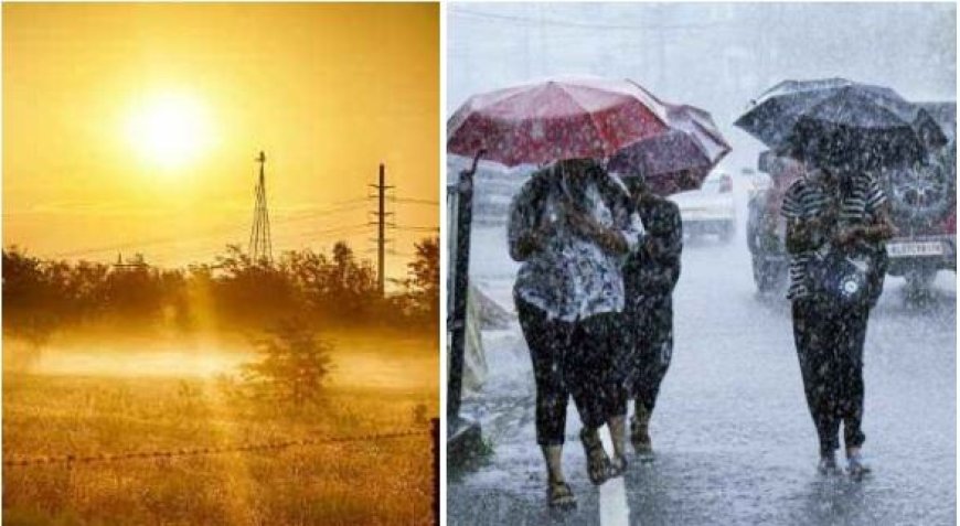 சுள்ளென்று அடிக்கும் வெயில்.. ஜில்லென்று பெய்த மழை.. 5 நாட்களுக்கு கவனம் மக்களே.. வானிலை மையம் வார்னிங்