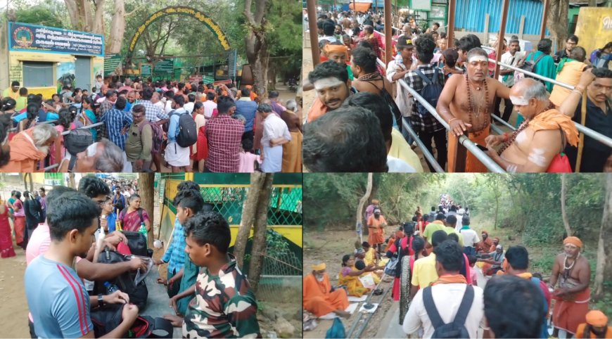 சனி பிரதோஷத்தை ஒட்டி சதுரகிரியில் குவிந்த பக்தர்கள்.. அதிகாலை முதலே மலையேறி சாமி தரிசனம்