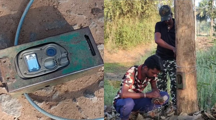 மயிலாடுதுறையில் ஆட்டம் காட்டும் சிறுத்தை... 6 ஆவது நாளாக தொடரும் வனத்துறையின் தேடுதல் வேட்டை...