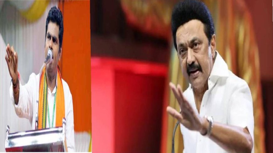 கோவையில் முதல்ல ரோடு போடுங்க.. அப்பறம் கிரிக்கெட் மைதானம் கட்டலாம்.. முதலமைச்சரை விளாசிய அண்ணாமலை