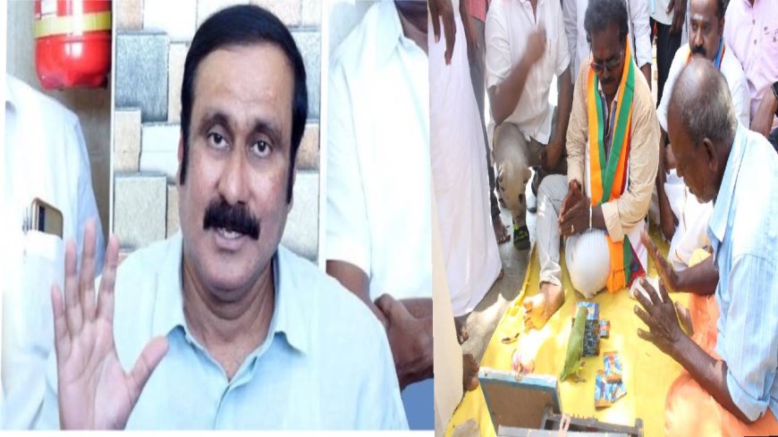 ஏழை கிளி ஜோதிடரை கைது செய்து வீரத்தை காட்டிய திமுக... கொந்தளித்த அன்புமணி ராமதாஸ்