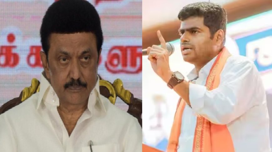 "போலி சமூகநீதி நாடகமாடும் திமுக..." "முட்டுச்சந்தை கூட திமுக-வால் காப்பாற்ற முடியாது..." முதலமைச்சருக்கு அண்ணாமலை பதிலடி...