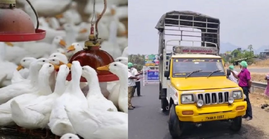 கேரளாவில் பரவும் திடீர் காய்ச்சல்... எச்சரிக்கும் மருத்துவர்கள்... தமிழக எல்லையில் கண்காணிப்பு தீவிரம்...