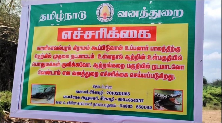 ஆற்றில்  மிதந்து வரும் முதலை.. அச்சத்தில் சீர்காழி மக்கள்.. எச்சரிக்கும் வனத்துறை