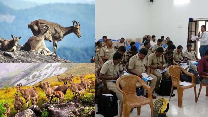ஏப்ரல் 29ல் வரையாடு கணக்கெடுப்பு தொடக்கம்.. 3 நாட்கள் நடைபெறும்.. வனத்துறை அறிவிப்பு