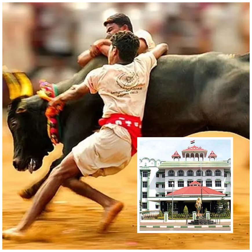 ஜல்லிக்கட்டு நடத்த அனுமதி கோரி மனு… சிவகங்கை மாவட்ட ஆட்சியருக்கு நீதிமன்றம் அதிரடி உத்தரவு…