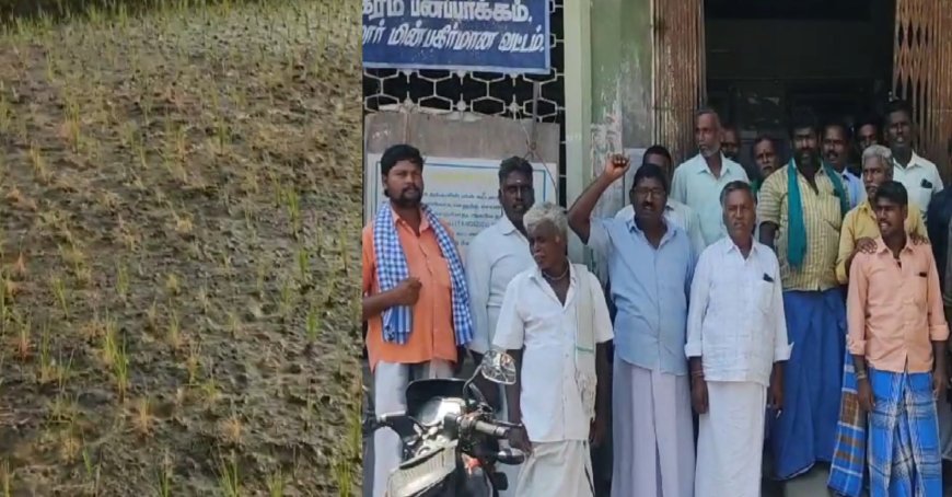 கரண்ட் கட்.. கருகும் பயிர்கள்.. நிரந்தர தீர்வு எப்போது? குமுறும் ராணிப்பேட்டை விவசாயிகள்
