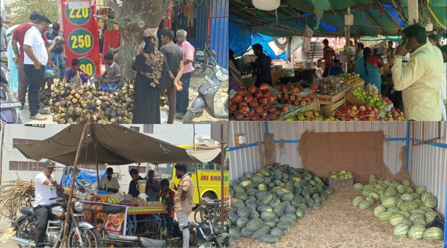 திருப்பத்தூரில் நுங்கு, இளநீர் வியாபாரம் படுஜோர்.. பழக்கடைகளில் குவியும் மக்கள்..