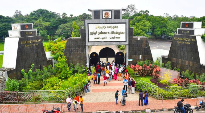 சிங்கம், புலி பார்க்க போற குட்டீஸ்களுக்கு குட் நியூஸ்.. வண்டலூர் பூங்காவுக்கு செவ்வாய்கிழமை நோ லீவு