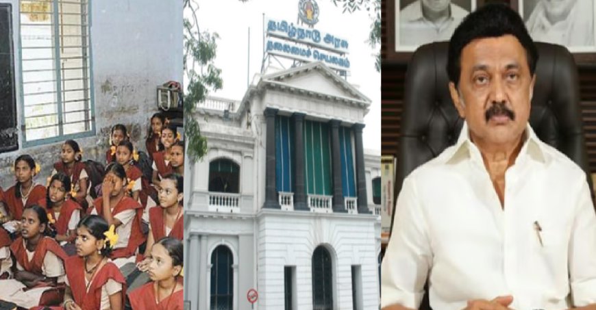 Exclusive: மந்த கதியில் மாநில கல்விக் கொள்கை திட்டம்..  தமிழ்நாடு அரசு அமல்படுத்த தயங்குவது ஏன்?