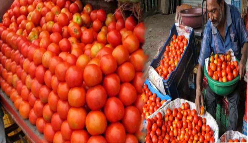 தங்கம் போல உயரும் தக்காளி விலை.. ஒரு கிலோ ரூ.100.. கலக்கத்தில் இல்லத்தரசிகள்