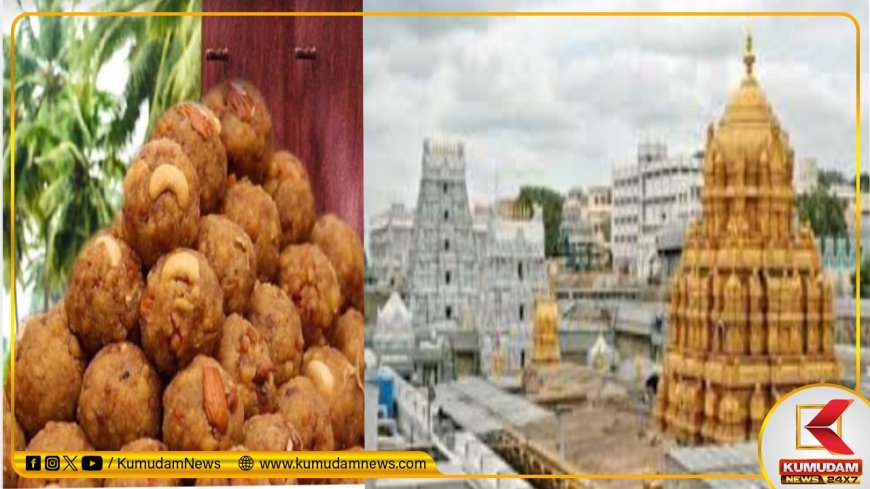 லட்டு விலை உயர்வா? ரூ.300 தரிசன டிக்கெட் விலையில் மாற்றமா?.. திருப்பதி திருமலை தேவஸ்தானம் சொல்வதென்ன?