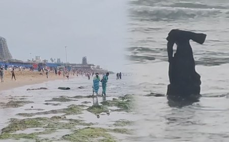 திருச்செந்தூரில் கடல் உள்வாங்கியதால் வெளியே தெரிந்த உருவம்- பரவசமடைந்த பக்தர்கள்..!  