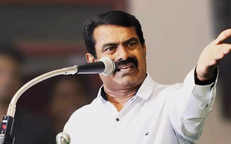 தமிழக வெற்றிக் கழகத்தைப் பார்த்து திமுக பயப்படுகிறது - சீமான் 