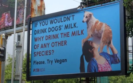 PETA இந்தியாவின் நாய் பால் விளம்பரம்: இணையத்தில் வெடித்த சர்ச்சை!